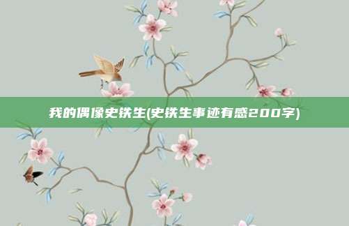 我的偶像史铁生(史铁生事迹有感200字)