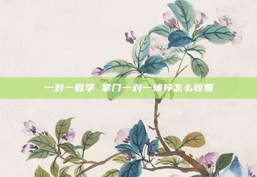 一对一教学 掌门一对一辅导怎么收费