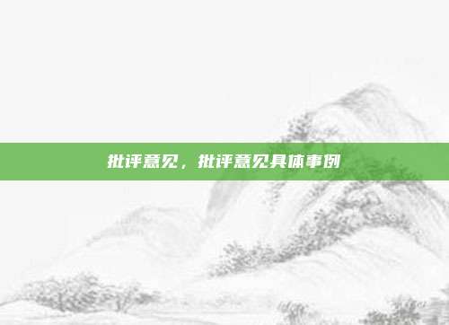 批评意见，批评意见具体事例