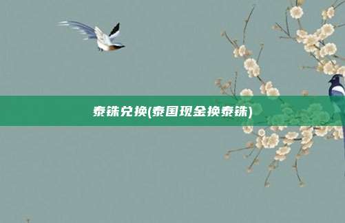 泰铢兑换(泰国现金换泰铢)