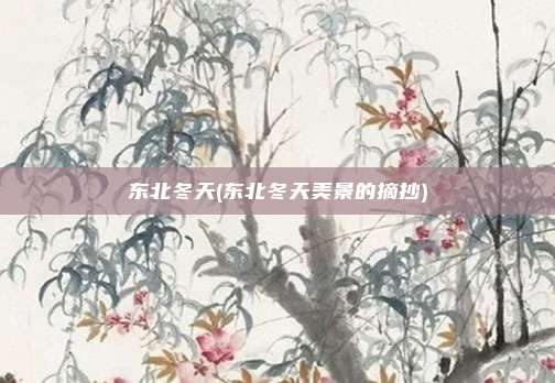 东北冬天(东北冬天美景的摘抄)