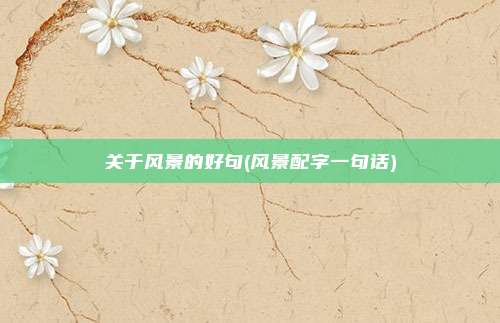 关于风景的好句(风景配字一句话)