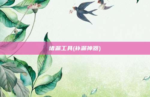 堵漏工具(补漏神器)