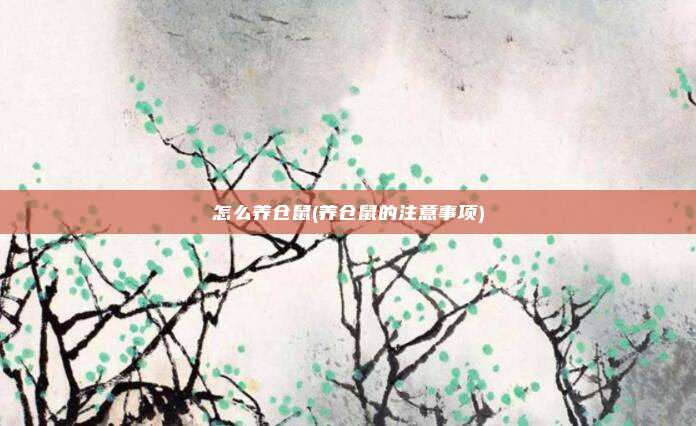 怎么养仓鼠(养仓鼠的注意事项)