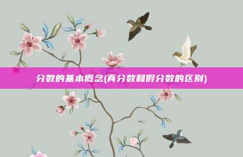 分数的基本概念(真分数和假分数的区别)