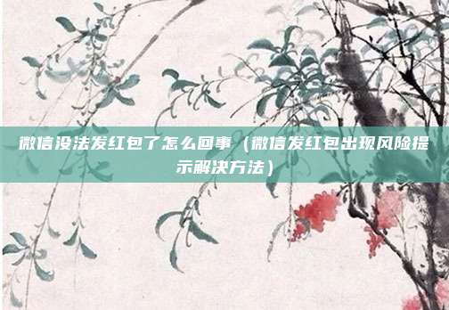 微信没法发红包了怎么回事（微信发红包出现风险提示解决方法）