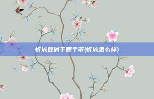 忻城县属于哪个市(忻城怎么样)