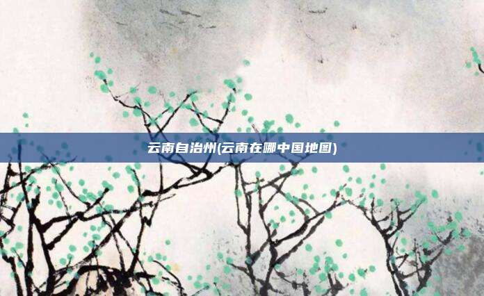 云南自治州(云南在哪中国地图)