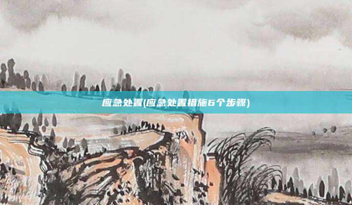 应急处置(应急处置措施6个步骤)