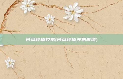 丹参种植技术(丹参种植注意事项)