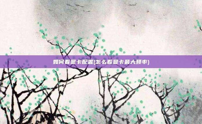 如何看显卡配置(怎么看显卡最大频率)