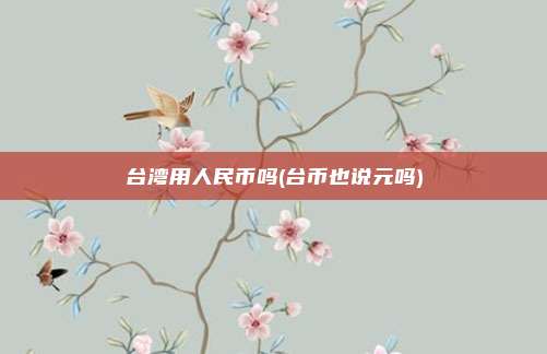 台湾用人民币吗(台币也说元吗)