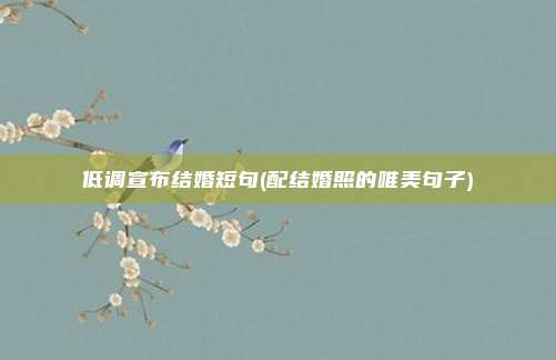 低调宣布结婚短句(配结婚照的唯美句子)