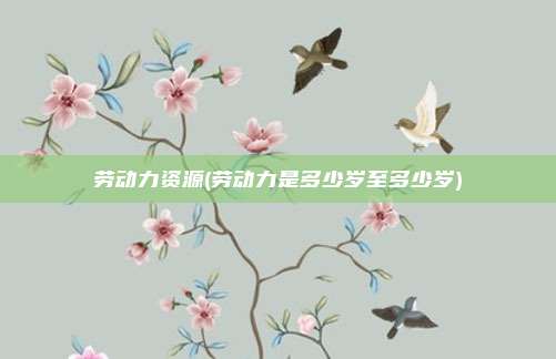劳动力资源(劳动力是多少岁至多少岁)