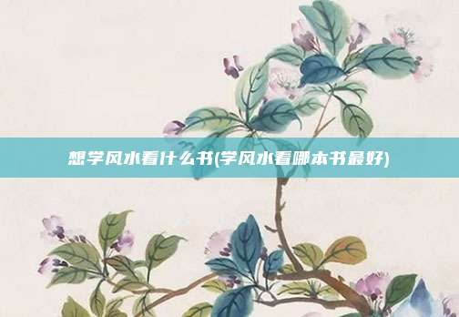 想学风水看什么书(学风水看哪本书最好)