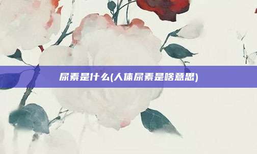 尿素是什么(人体尿素是啥意思)