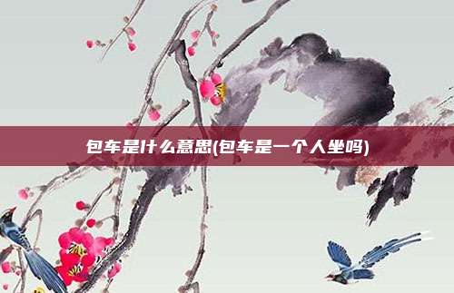 包车是什么意思(包车是一个人坐吗)