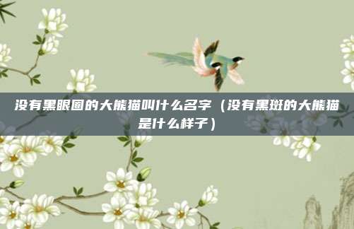 没有黑眼圈的大熊猫叫什么名字（没有黑斑的大熊猫是什么样子）