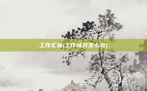 工作汇报(工作情况怎么写)