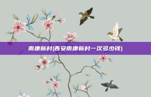 南康新村(西安南康新村一次多少钱)