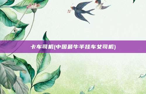 卡车司机(中国最牛半挂车女司机)