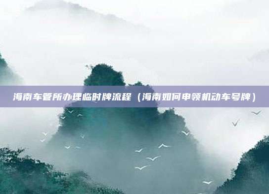 海南车管所办理临时牌流程（海南如何申领机动车号牌）