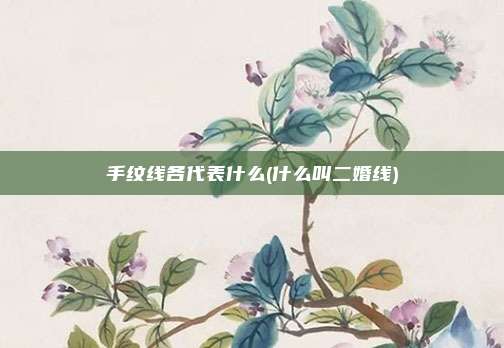 手纹线各代表什么(什么叫二婚线)