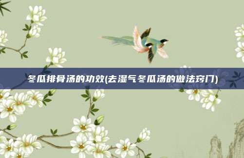 冬瓜排骨汤的功效(去湿气冬瓜汤的做法窍门)