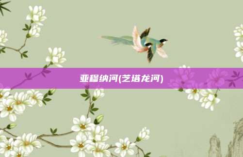 亚穆纳河(芝塔龙河)