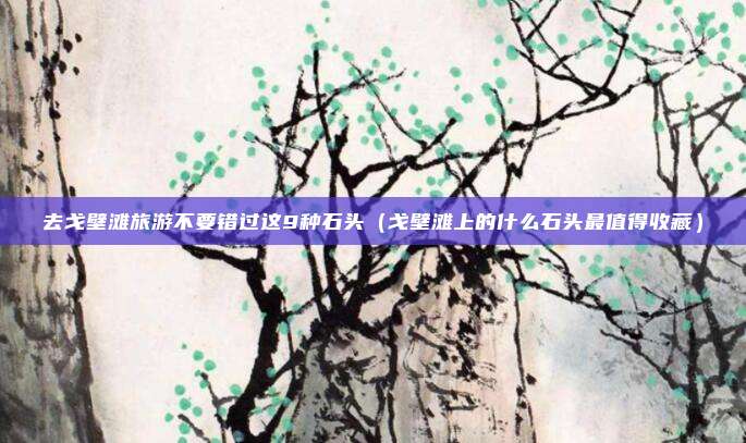 去戈壁滩旅游不要错过这9种石头（戈壁滩上的什么石头最值得收藏）