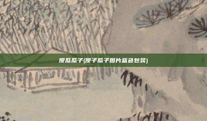 傻瓜瓜子(傻子瓜子图片蓝色包装)