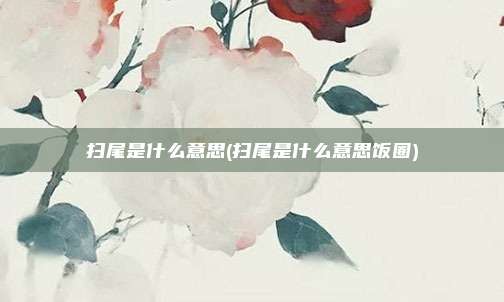 扫尾是什么意思(扫尾是什么意思饭圈)