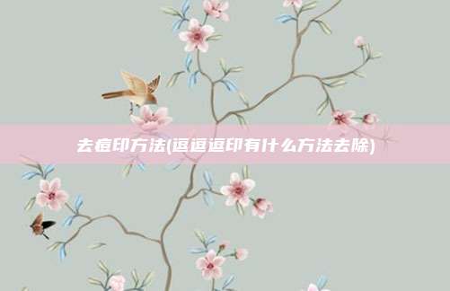 去痘印方法(逗逗逗印有什么方法去除)