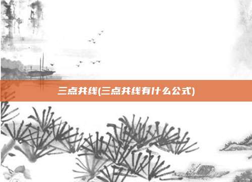 三点共线(三点共线有什么公式)