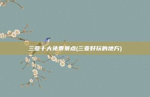 三亚十大免费景点(三亚好玩的地方)