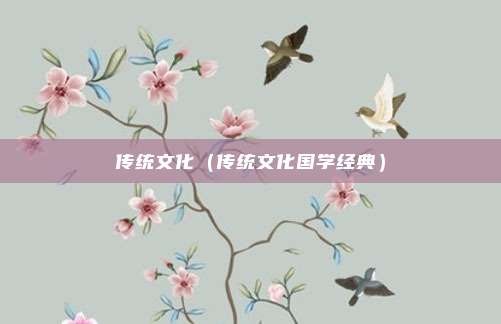 传统文化（传统文化国学经典）