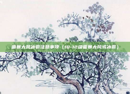 雷暴大风冰雹注意事项（10-12级雷暴大风或冰雹）