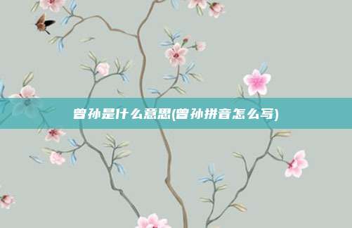 曾孙是什么意思(曾孙拼音怎么写)