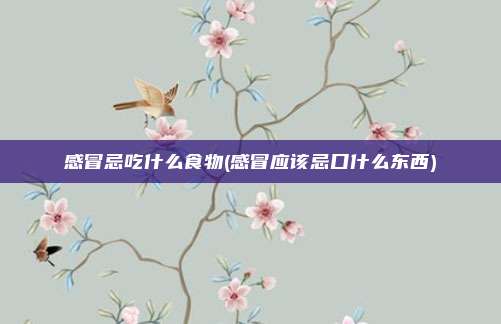 感冒忌吃什么食物(感冒应该忌口什么东西)