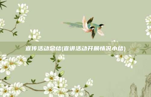 宣传活动总结(宣讲活动开展情况小结)