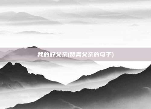 我的好父亲(赞美父亲的句子)