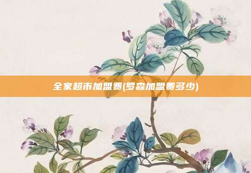 全家超市加盟费(罗森加盟费多少)