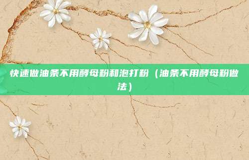 快速做油条不用酵母粉和泡打粉(油条不用酵母粉做法)