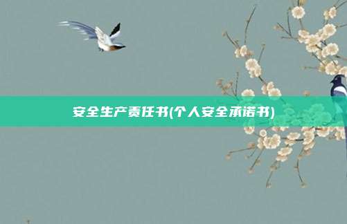 安全生产责任书(个人安全承诺书)