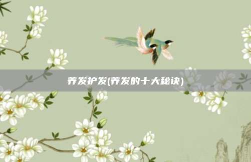 养发护发(养发的十大秘诀)
