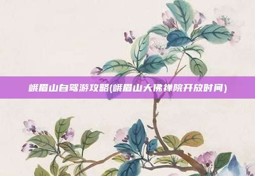 峨眉山自驾游攻略(峨眉山大佛禅院开放时间)
