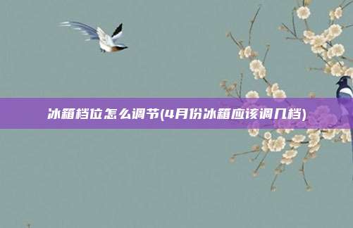 冰箱档位怎么调节(4月份冰箱应该调几档)