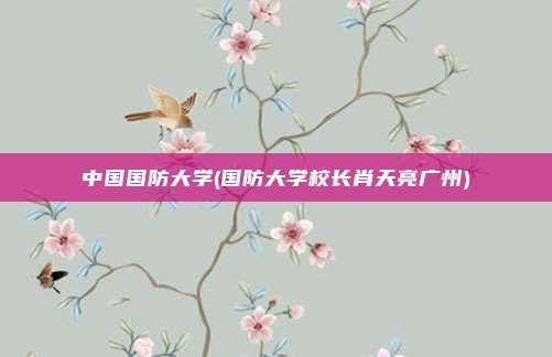 中国国防大学(国防大学校长肖天亮广州)