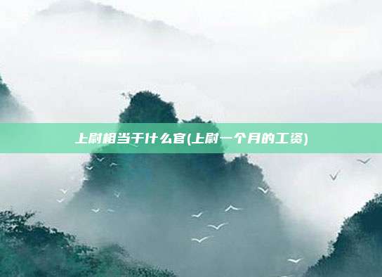 上尉相当于什么官(上尉一个月的工资)