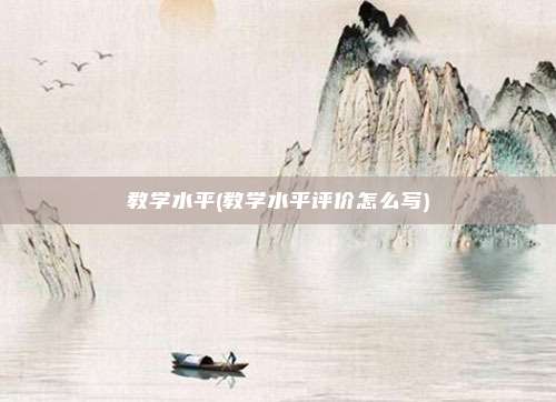 教学水平(教学水平评价怎么写)